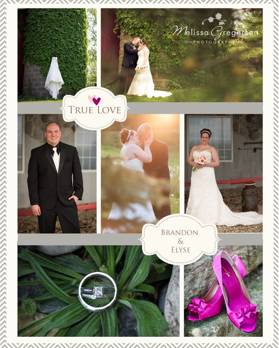 The Silo Banquet in Allegan, MI wedding reception photographer photography