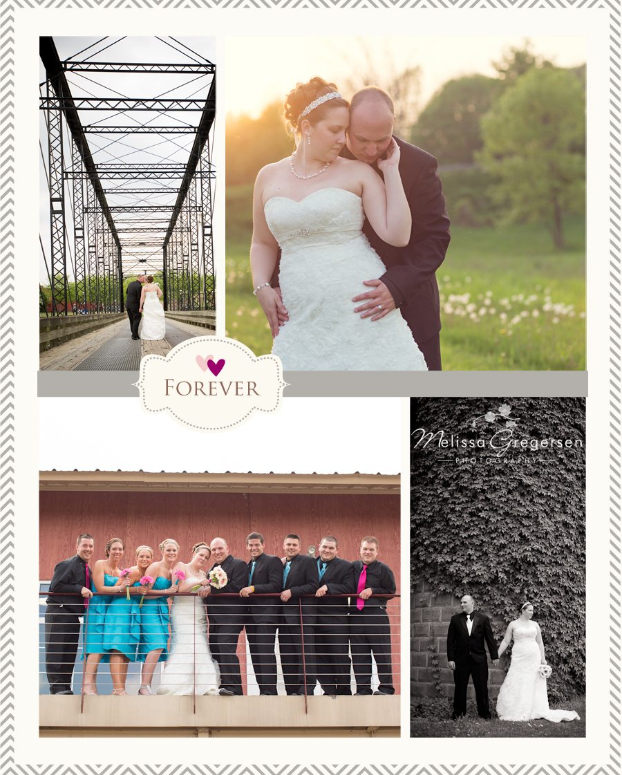 The Silo Banquet in Allegan, MI wedding reception photographer photography