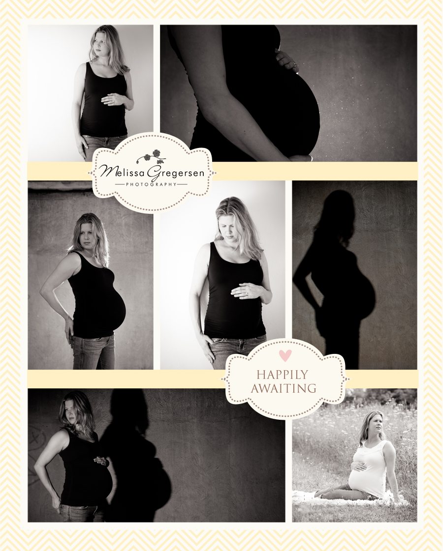 Kalamazoo Michigan Maternity Pregnancy Photography
