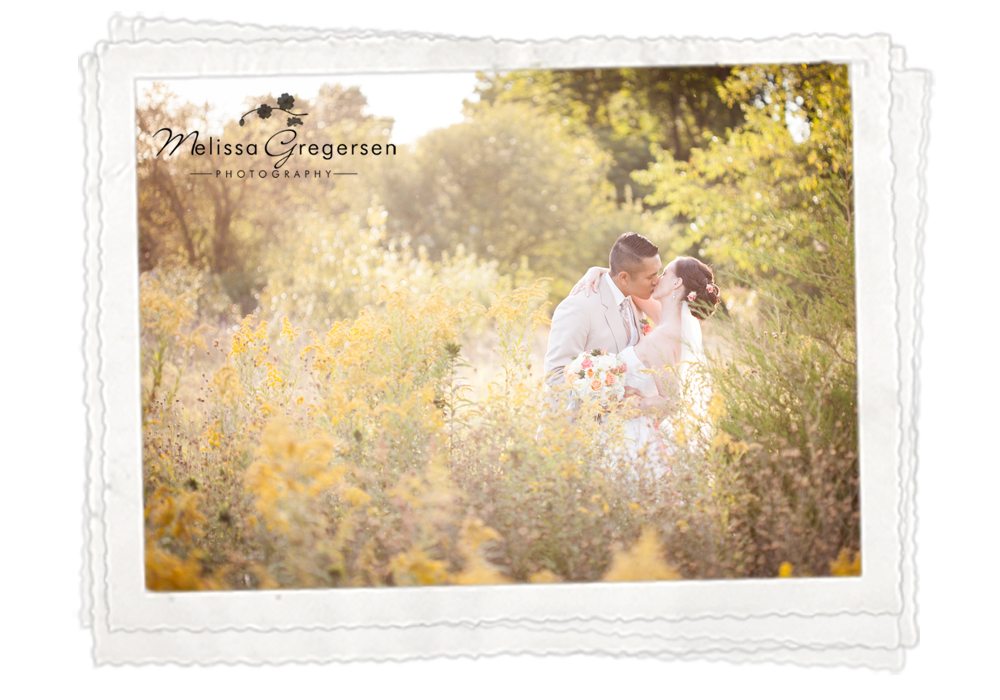 Kalamazoo Grand Rapids Lansing Detroit Saint Joseph Michigan Wedding Photography