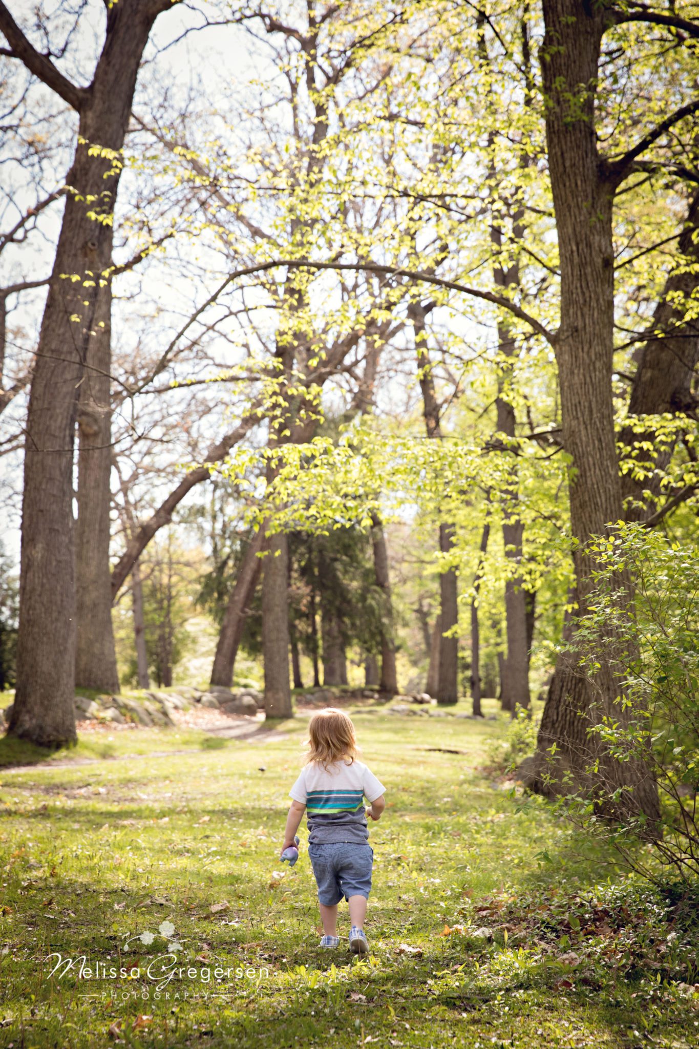 Kalamazoo Michigan Family Photographer Gregersen Photography