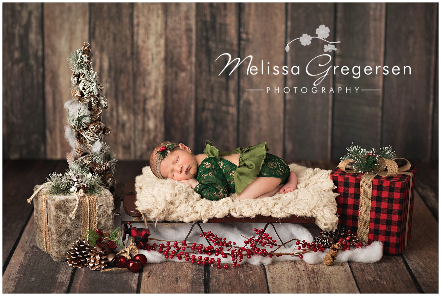 Eliza :: Kalamazoo Michigan Newborn Photographer - Gregersen Photography