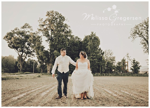 Bride and groom walking through a cornfield with bare feet at the vintage rose barn