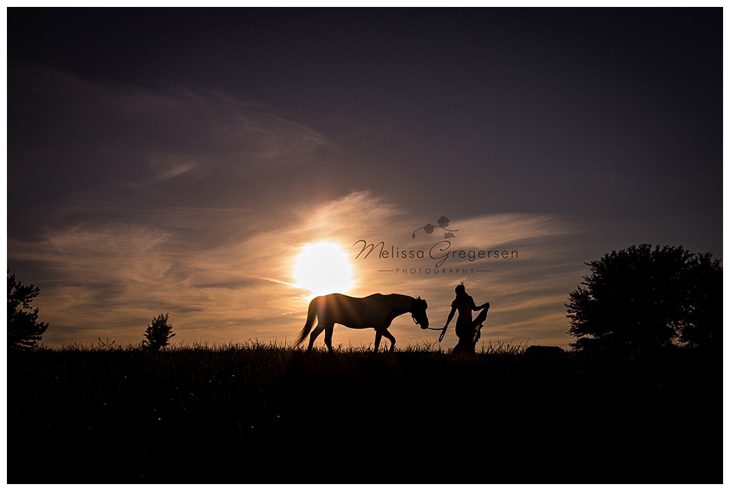 Horse Photography at sunset