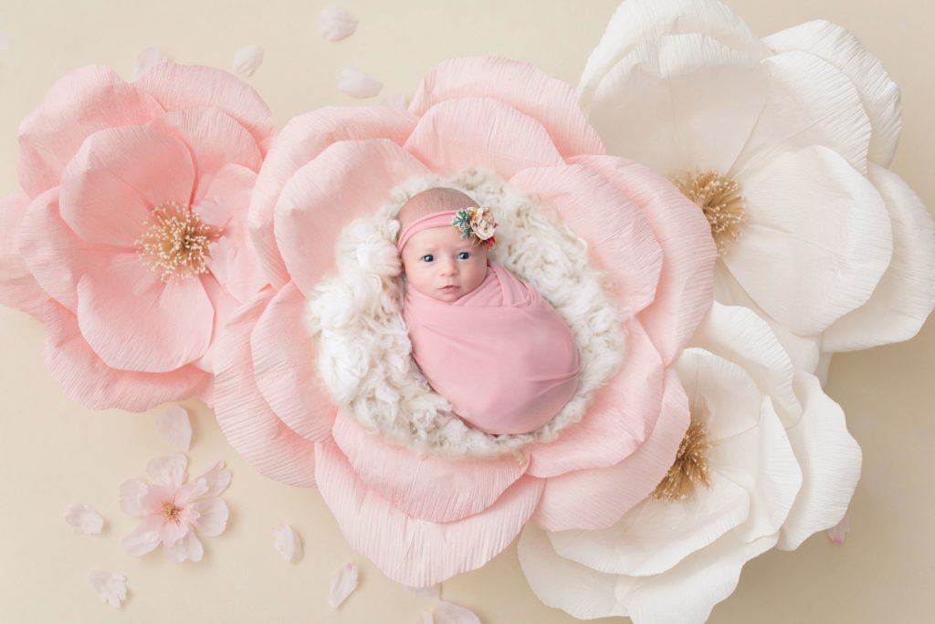 kalamazoo michigan newborn photograph