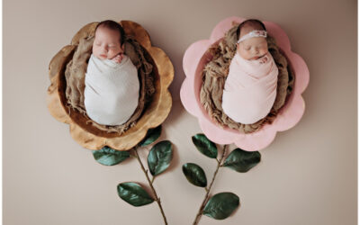 Newborn Twins Photography in Kalamazoo Michigan