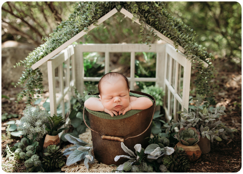 beautiful baby boy in an outdoor greenhouse. 